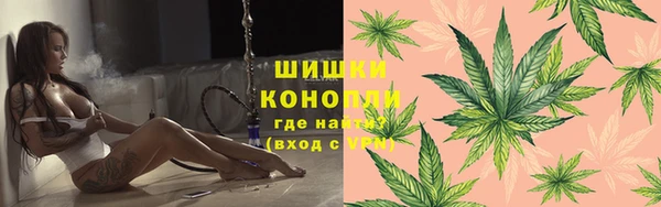 шишки Алексеевка