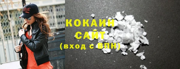 тгк Алексин