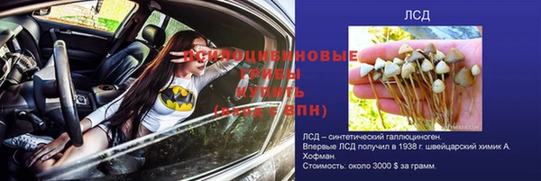 тгк Алексин