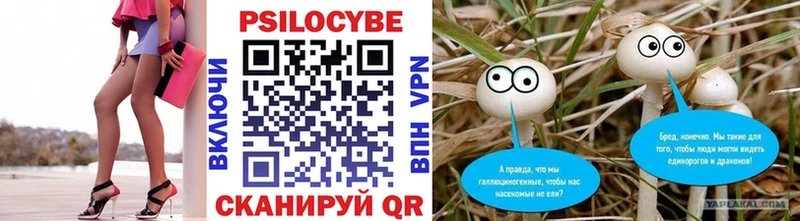 Псилоцибиновые грибы мухоморы  ОМГ ОМГ как зайти  Ставрополь 