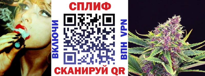 Конопля Amnesia  где можно купить наркотик  KRAKEN как войти  Ставрополь 